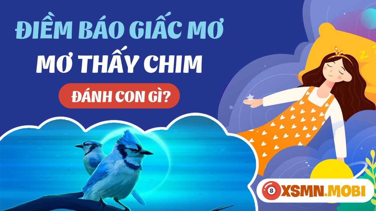 Tra cứu sổ mơ bìm bịp