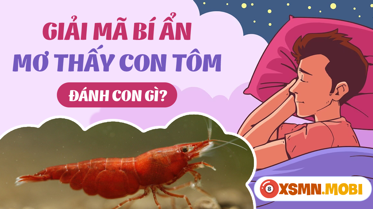Tra cứu sổ mơ nằm mơ thấy tép