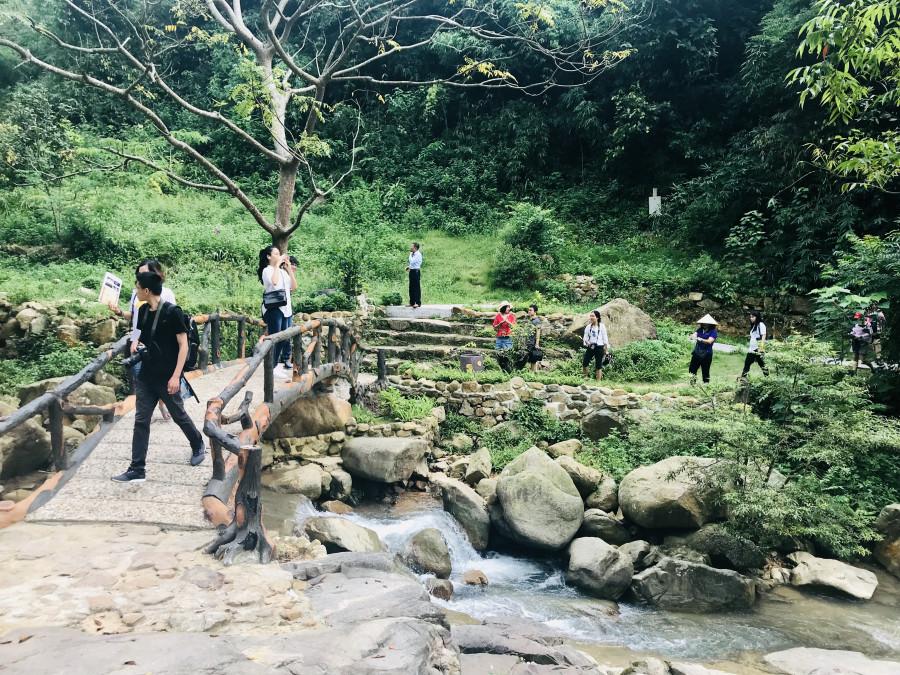 Giải Mã Giấc Mơ Thấy Bơi Trên Biển