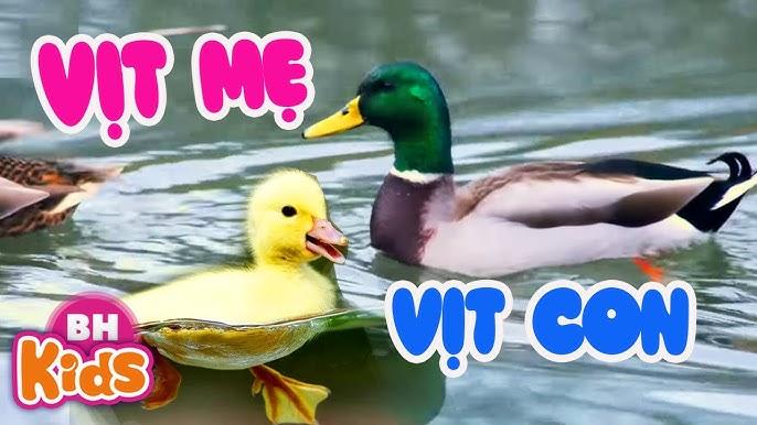 Nằm mơ thấy ngủ với đàn ông đánh con gì? Giải mã giấc mơ lô đề