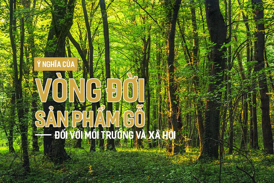 Nằm mơ thấy ếch là điềm gì? Giải mã giấc mơ lô đề