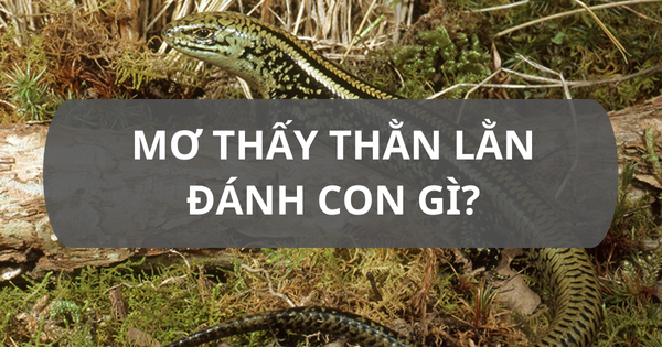 Nằm Mơ Thấy Lốc Xoáy Đánh Đề Con Gì?